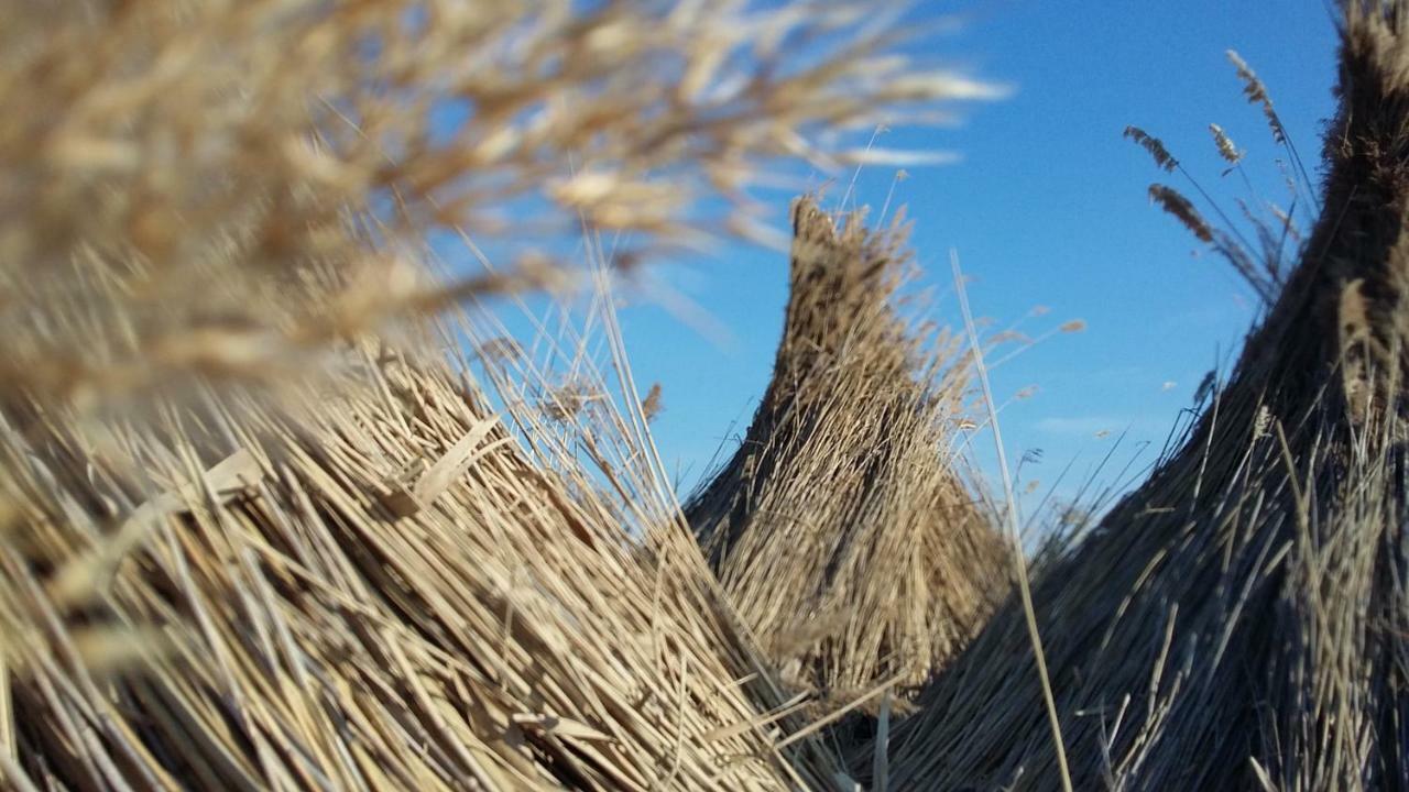 דירות מורביש אם סי Laubgassl מראה חיצוני תמונה